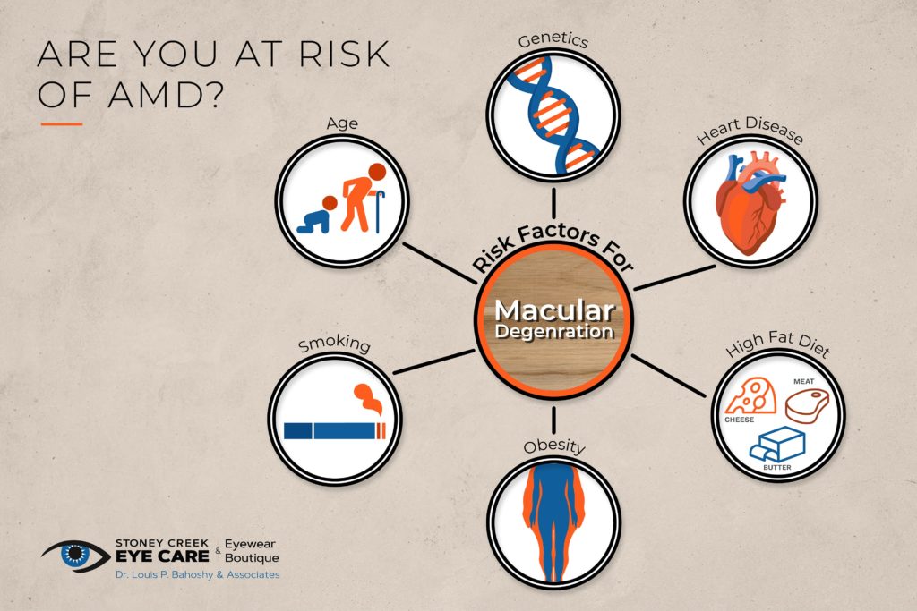 A diagram showing the risk factors of developing age-related macular degeneration or AMD