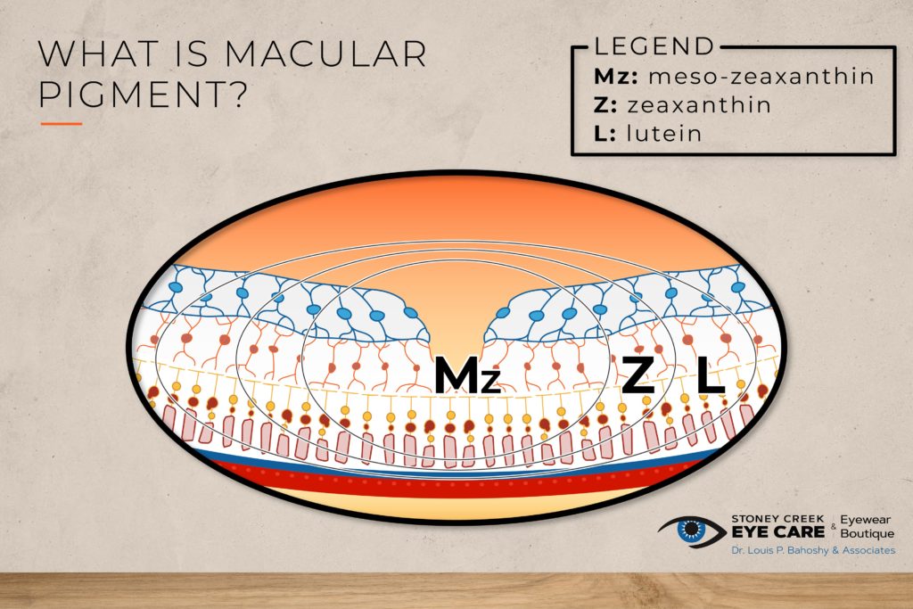 A diagram showing the 3 macular pigments meso-zeaxanthin, zeaxanthin, and lutein