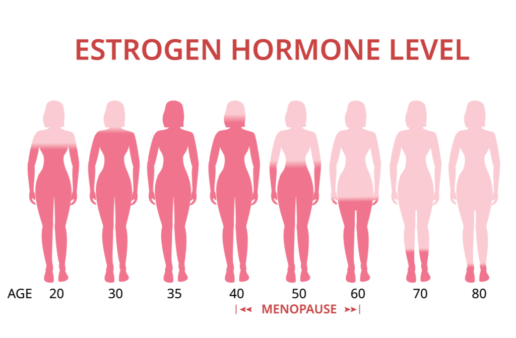 Diagram showing changes to estrogen levels as women age